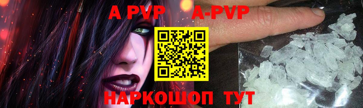 A PVP СК КРИС Сунжа