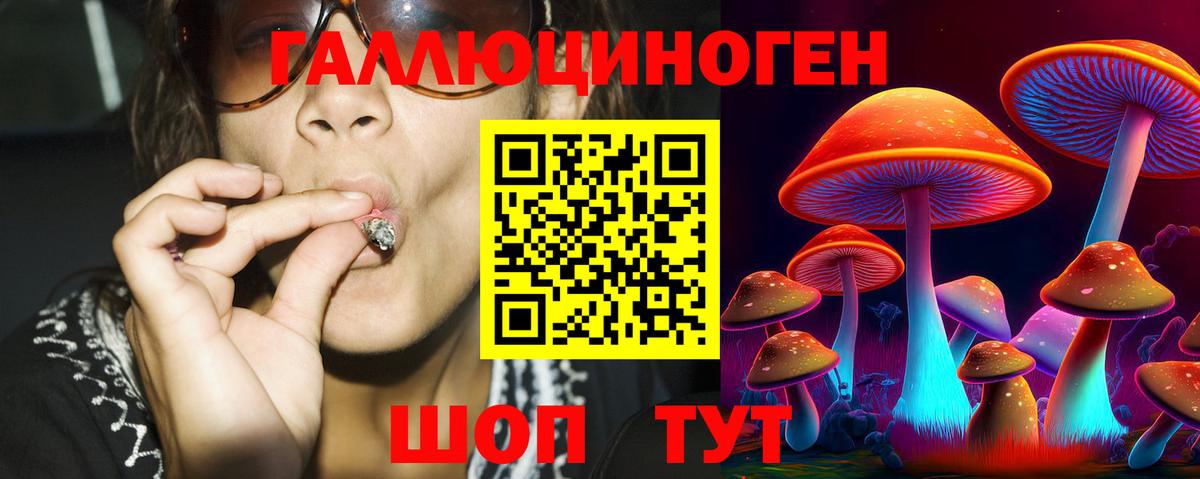 Псилоцибиновые грибы мицелий Сунжа